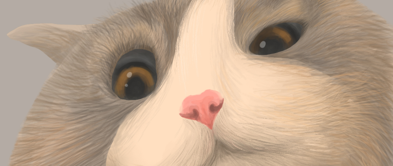Le chat