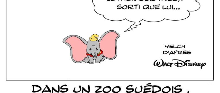 Dumbo a finalement eu de la chance...
