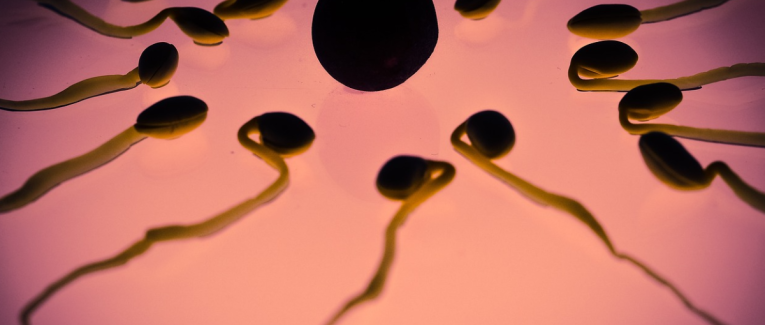 Naissance