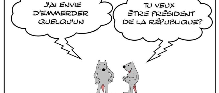 Comme le président
