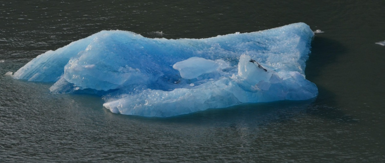 Iceberg