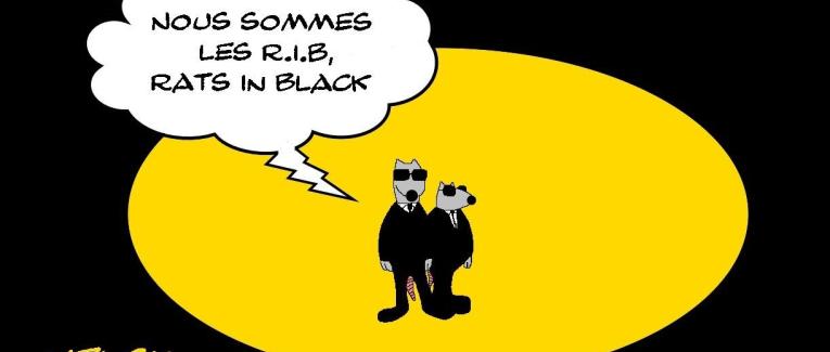 Rats In Black