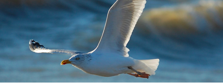 Rimbaud rising for the climate with Greta