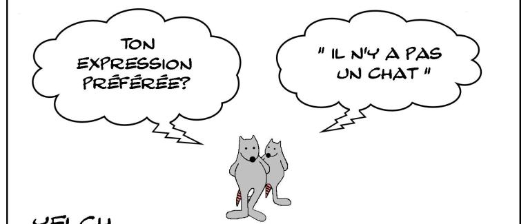 Il n'y a pas un rat? Mais si!