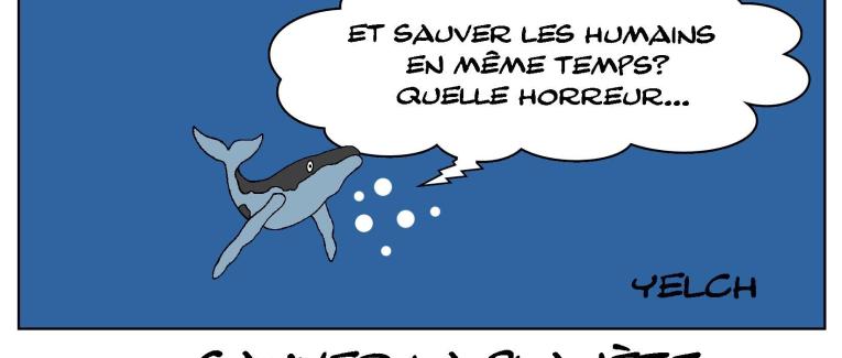 Don't kill the whale