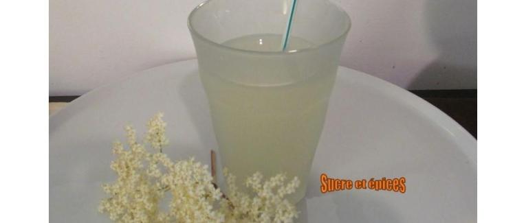 Boisson fermentée aux fleurs de sureau - Socata