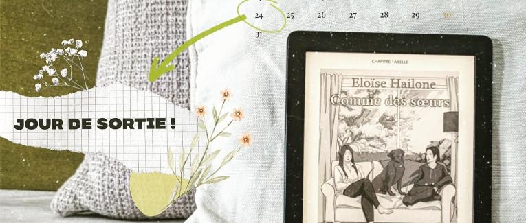 Book'n'furious : Comme des sœurs - Eloïse Hailone