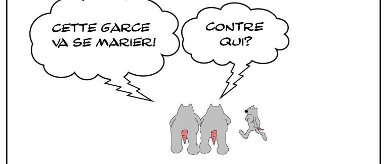 les rates un peu mégères sur les bords