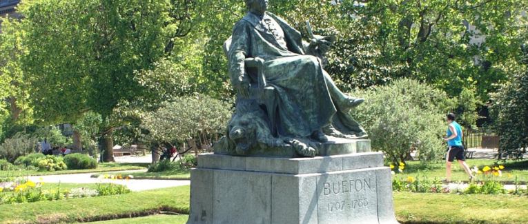 L'Aiguille de Buffon et le Corps Irréductible