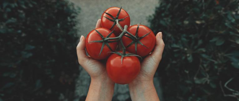 Clafoutis tomates, épinards et feta