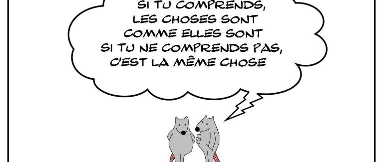 Comprendre les choses ou pas