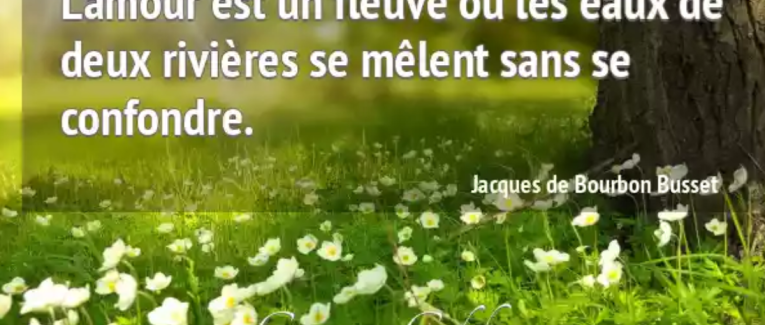 Amour