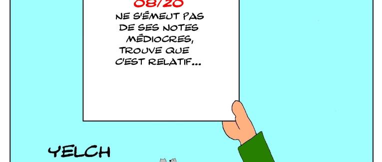 les bulletins scolaires d'Albert Einstein : calcul