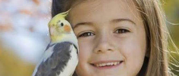 L'oiseau et l'enfant