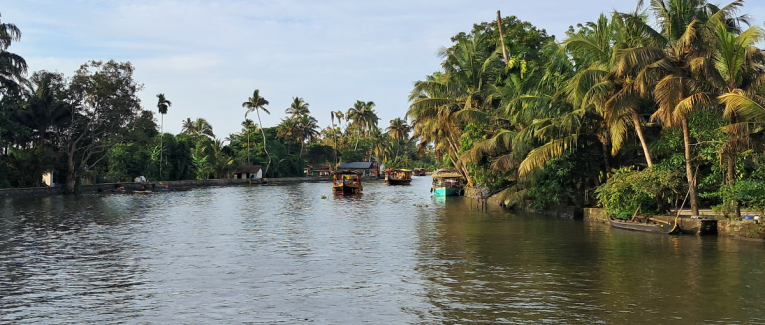 Premiers jours dans les Backwaters