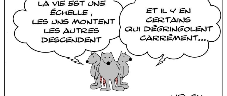La vie , une échelle souvent casse-gueule