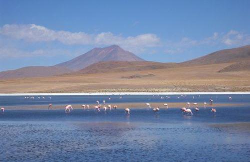 Le clou du spectacle : el Salar de Uyuni