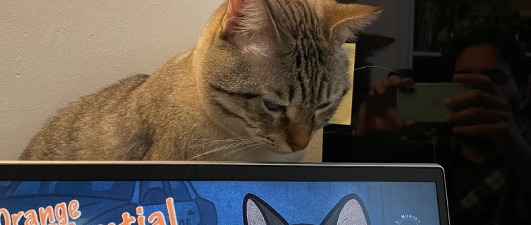 Looping - 06/11/2025