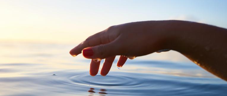 Dans ma baignoire, une histoire d'urine quantique