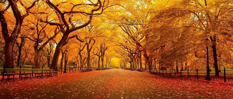 An Autumn Meditation Of Gratitude