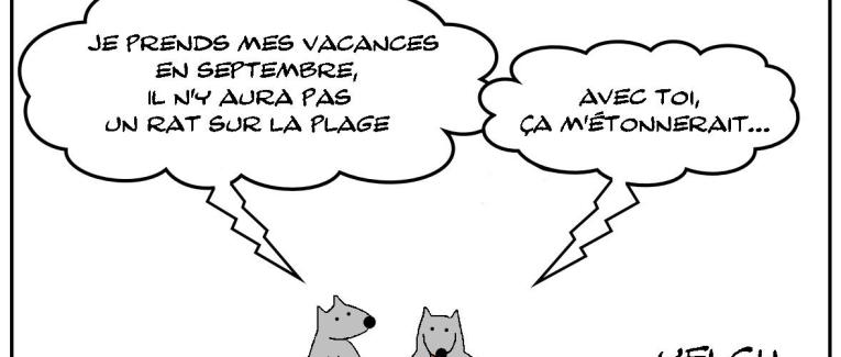 Pas un rat...