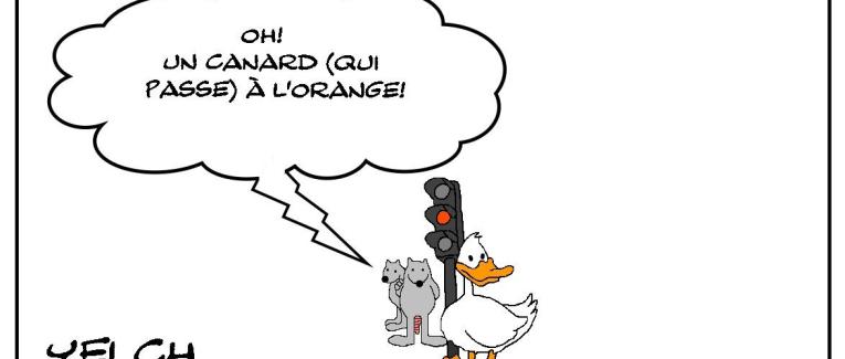 Canard à l'orange