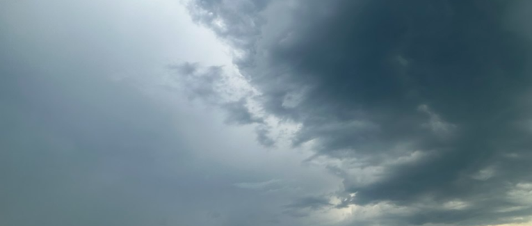 Contre le bruit, contre la vitesse : pourquoi 2026 sera une année marquante pour Panodyssey