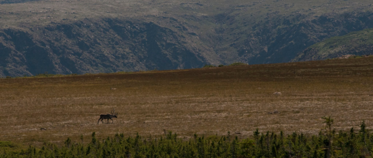 Deuxième partie (2015)