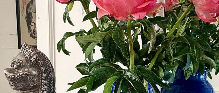 Le bois sacré en sort bonne