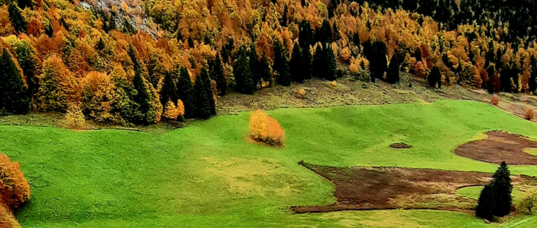 Coeur d'Automne