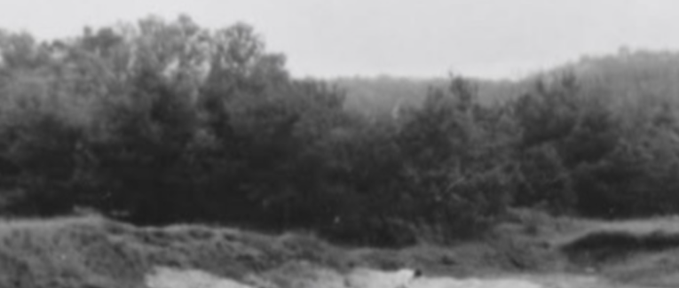 Chemin des communs