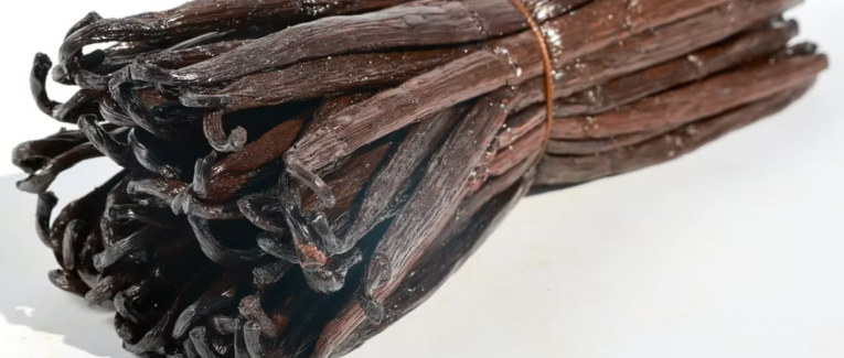 La biophysique de la vanille : pourquoi le froid polaire et l'alcool détruisent le parfum de l'épice la plus précieuse au monde
