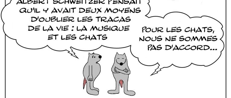 Les rats et les chats et la musique
