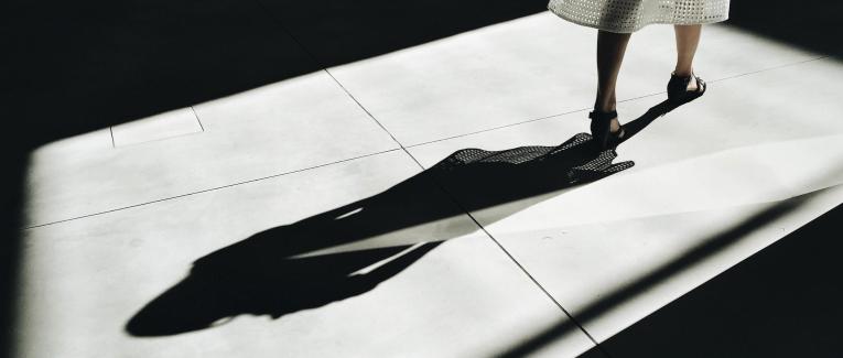 L’Ombre et la proie
