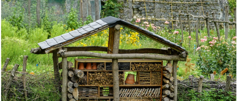 Co-jardinage – Editions Court Bouillon