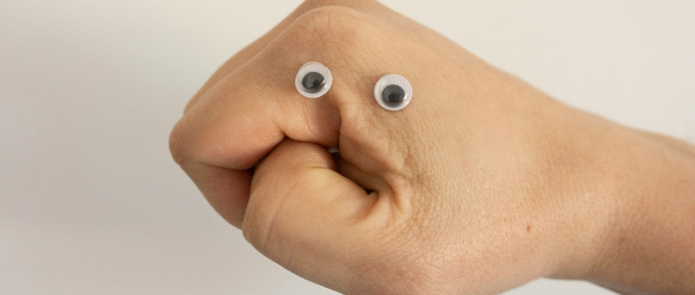 L'Afin des Dinosaures