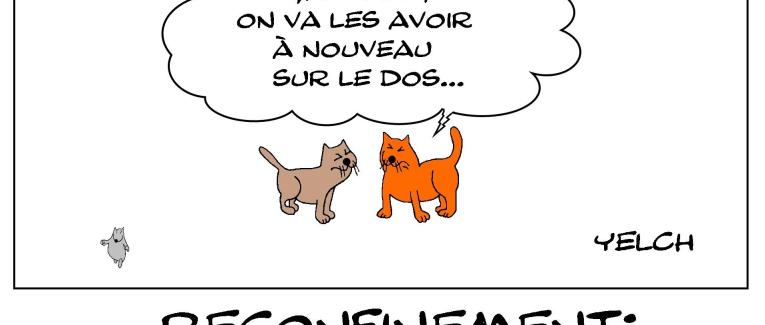 La gente féline n'apprécie pas le confinement