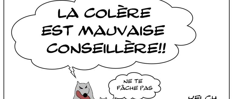 Ne nous fâchons pas...