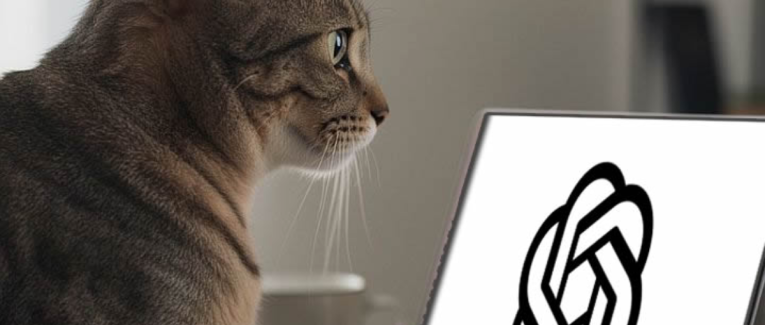 Le chat de 2026