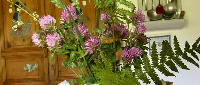 Le jardin du 14 Mai