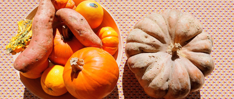 Sagesses vivantes de la vieille mère Salothe