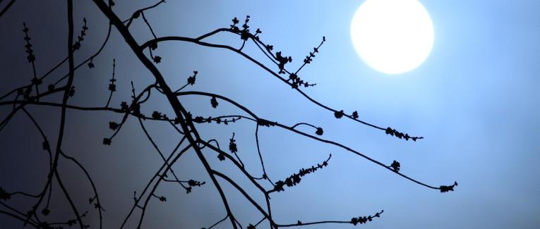 Lune de mars