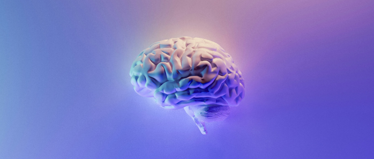 Être Haut Potentiel Intellectuel (HPI)