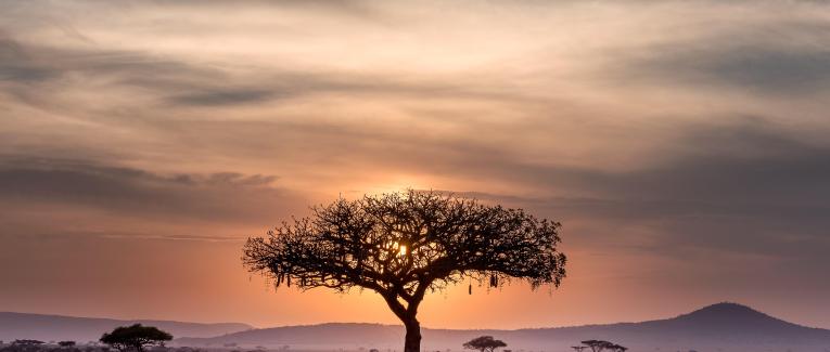 Paysages d'Afrique du Sud