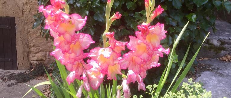 Le jardin du 22 Juillet