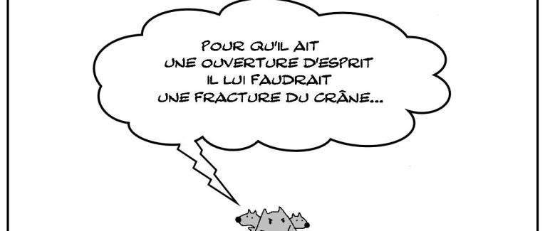 Fracture d'esprit