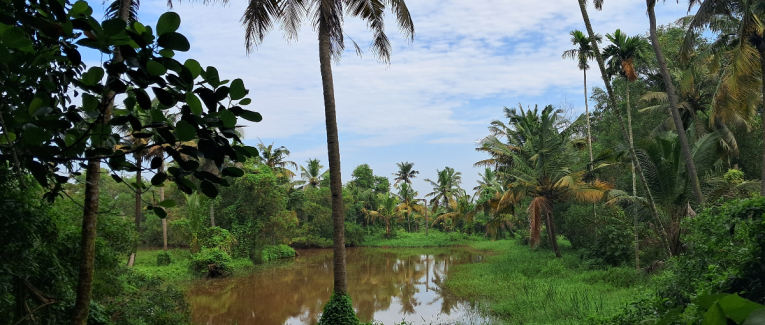 Retraite Ayurvédique à Maïthri Mandir