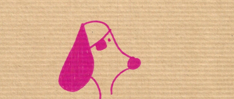 Pink pirate