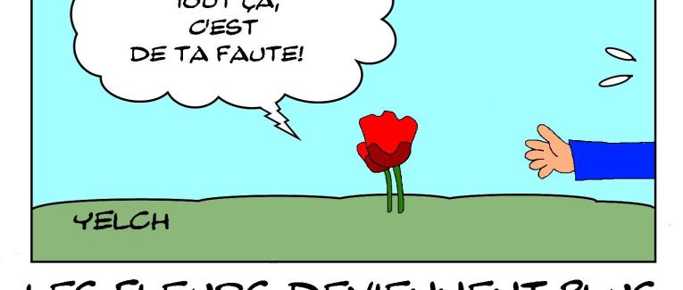 Les fleurs deviennent plus sombres à cause du réchauffement climatique