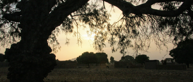 Carnet de voyage au Burkina Faso. La lumière de Tiébélé.